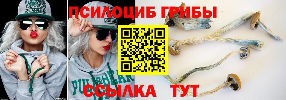 Псилоцибиновые грибы Magic Shrooms Нерюнгри
